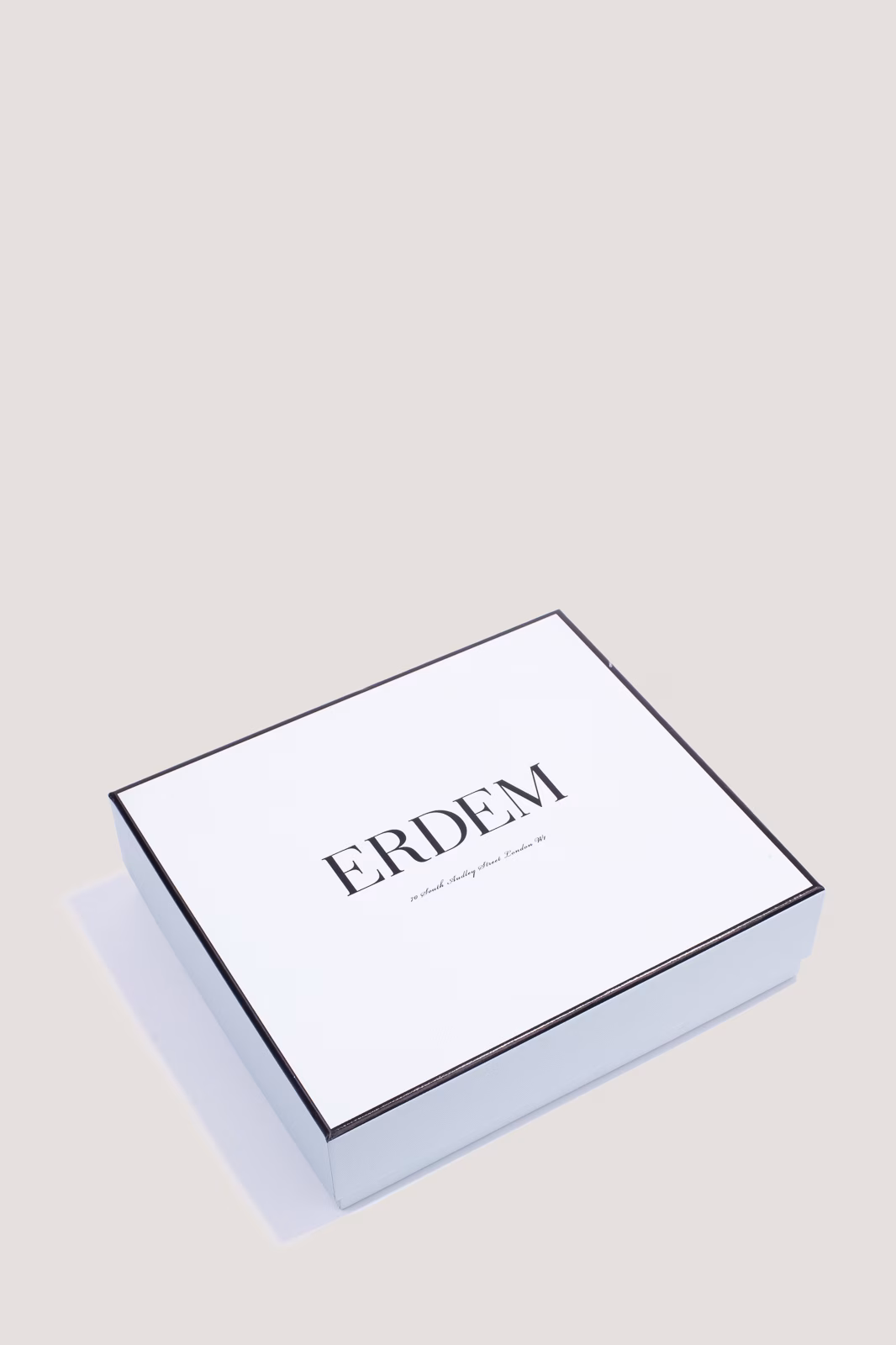 Брошь Erdem AW24_W1JE3_AGB