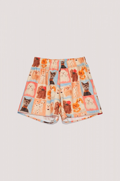 Боксеры CARNE BOLLENTE AW26UNW0303_Allover