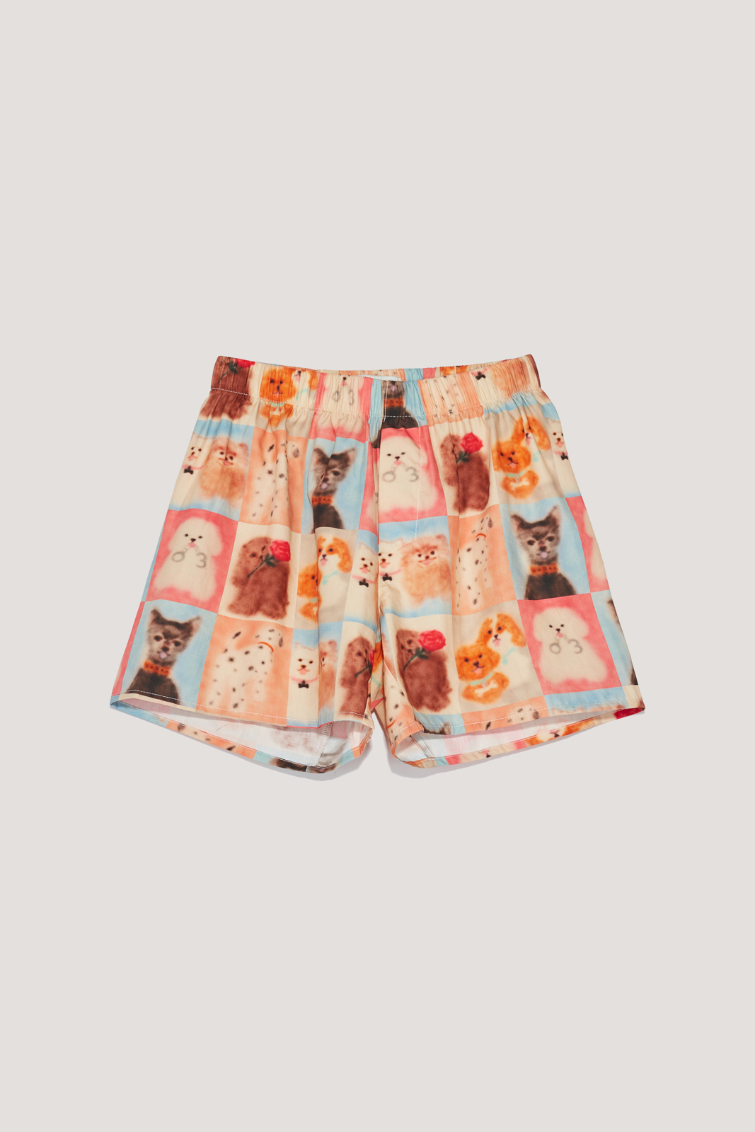 Боксеры CARNE BOLLENTE AW26UNW0303_Allover