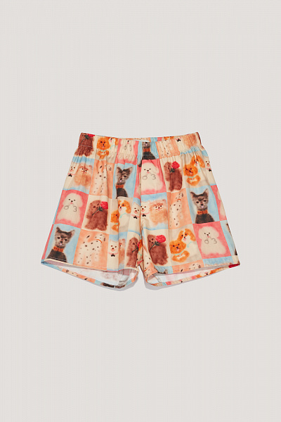 Боксеры CARNE BOLLENTE AW26UNW0303_Allover