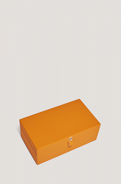 Очки SATO TEREBELLUM I S604 2