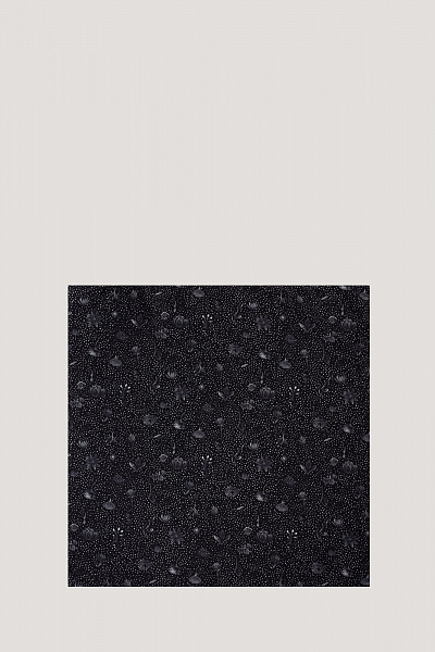 Платок Calmlence SCARF 011 BLKPT
